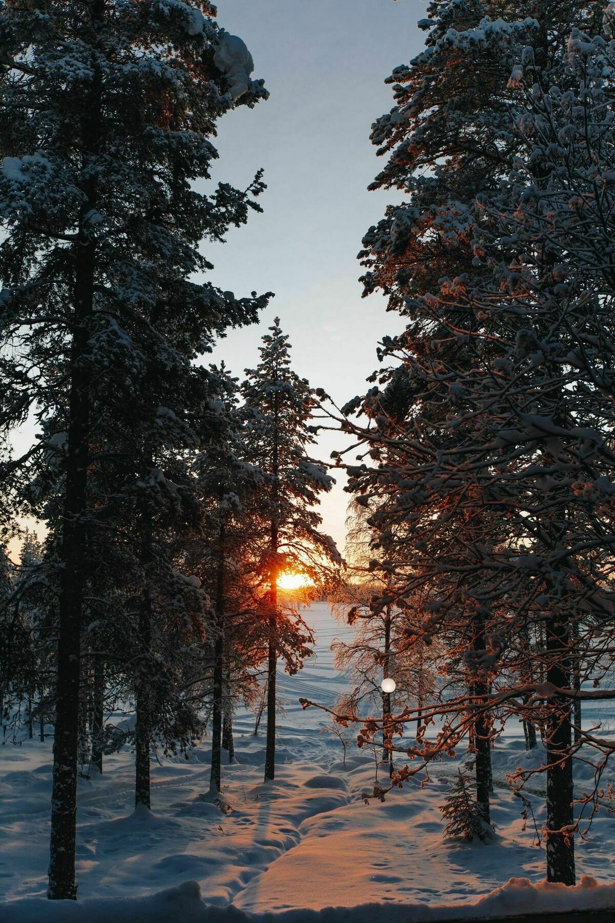 Villa Iglu 库萨莫 外观 照片